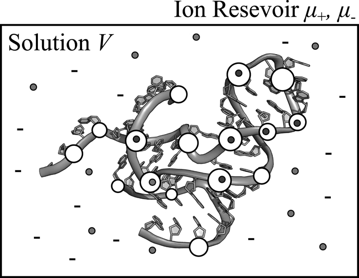 An implicit divalent counterion force field for RNA molecular dynamics ...