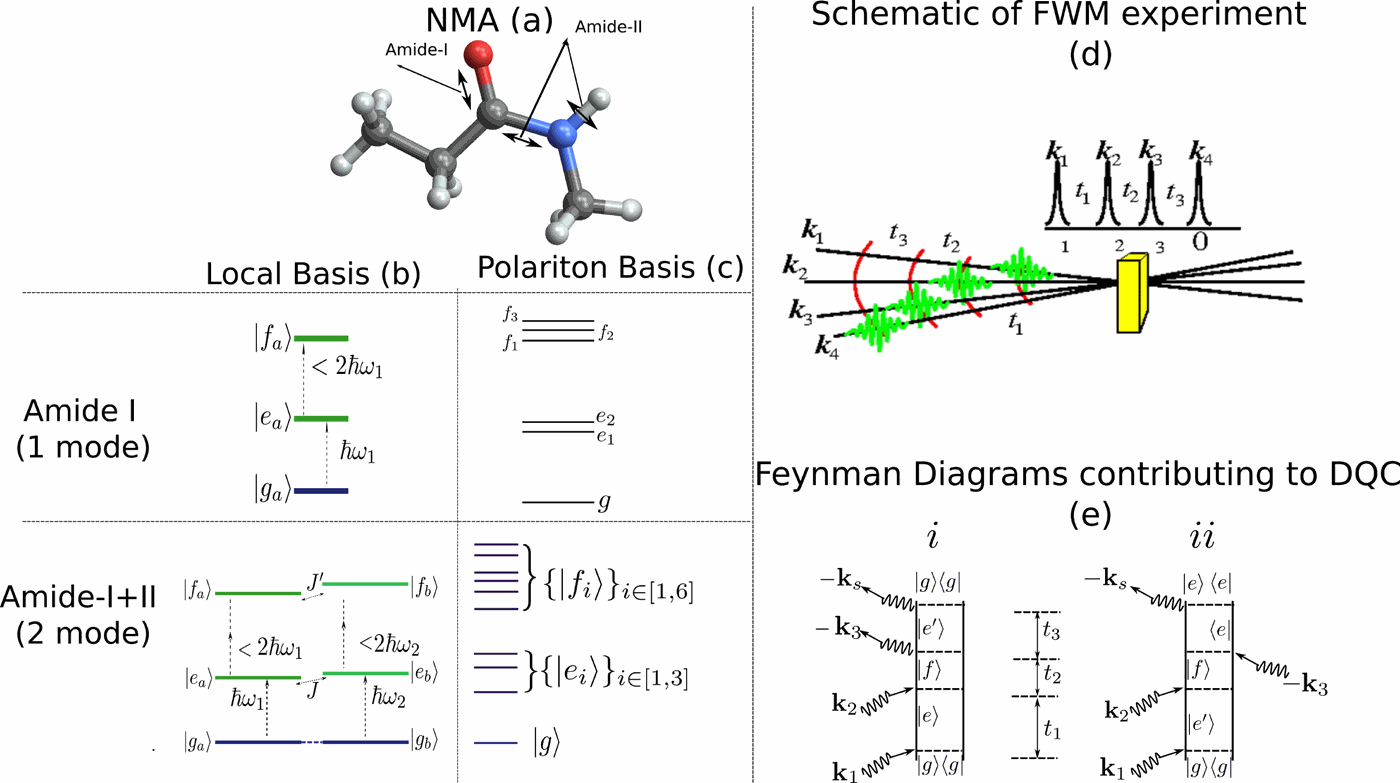 Twodimensional infrared spectroscopy of vibrational polaritons of
