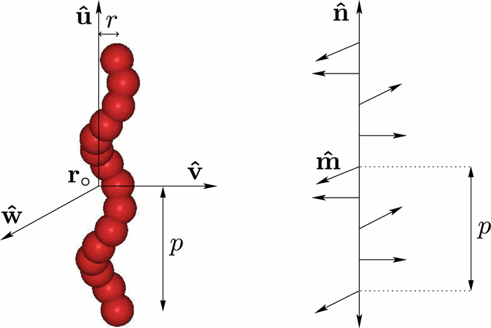 Diffusion of helical particles in the screw-like nematic phase,The ...