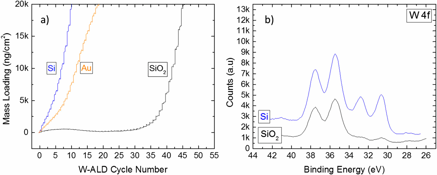 Understanding inherent substrate selectivity during atomic layer