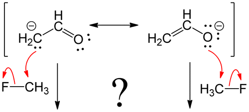 Why Do Enolate Anions Favor O-Alkylation over C-Alkylation in the Gas ...