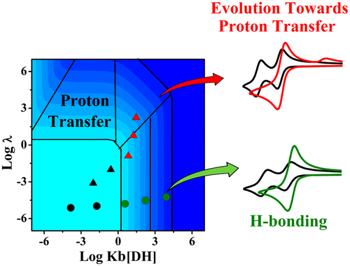 Competition between Hydrogen Bonding and Proton Transfer during ...
