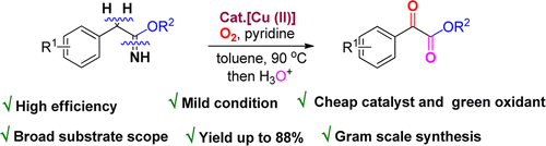 Copperii Catalyzed Benzylic Csp3h Aerobic Oxidation Of Heteroaryl Acetimidates Synthesis 4911