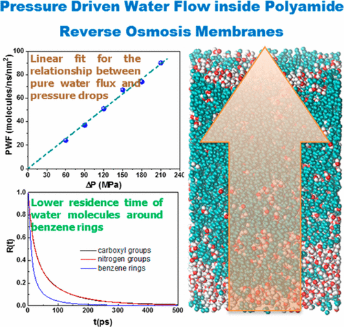 聚酰胺反渗透膜内部的水流：非平衡分子动力学研究,The Journal Of Physical Chemistry B - X-MOL