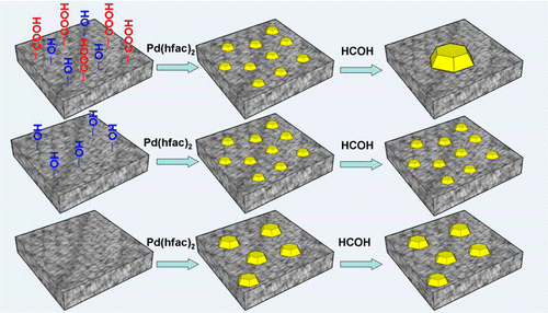 Activated Carbon Supported Palladium Nanoparticle Catalysts Synthesized