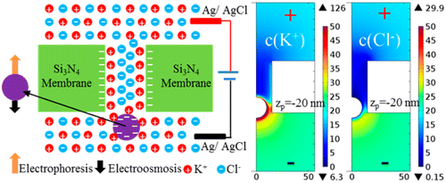 Biphasic Resistive Pulses and Ion Concentration Modulation during ...