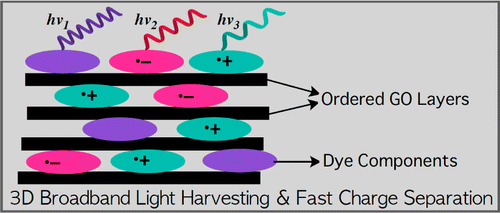 Broadband Light Harvesting and Fast Charge Separation in Ordered Self ...