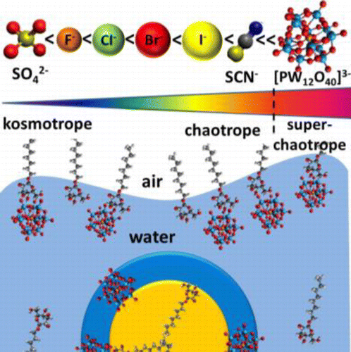 纳米级多金属氧酸盐阴离子在中性软表面上具有强吸附性 The Journal Of Physical Chemistry C X Mol