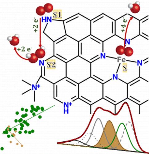 Chemistry of Multitudinous Active Sites for Oxygen Reduction Reaction ...