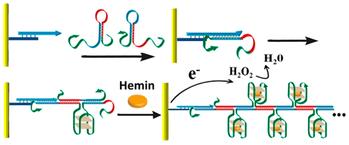 电极上的杂交链反应在DNA扩增和平行电化学分析中的应用,The Journal of Physical Chemistry C - X-MOL