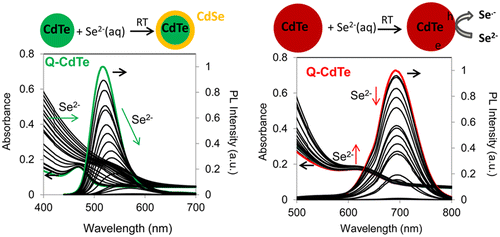 Amplification in Light Energy Conversion at Q-CdTe Sensitized TiO2 ...