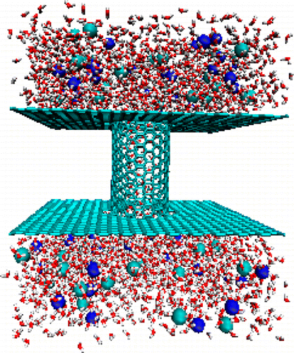 Coupling Transport of Water and Ions Through a Carbon Nanotube: The ...