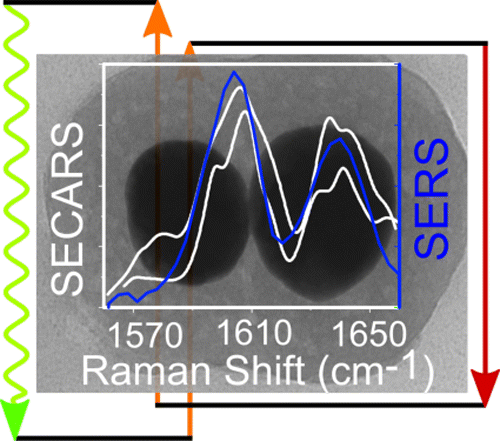 Ultra Fast Raman Spectroscopy Ultrafast Coherent Raman Scattering at Plasmonic Nanojunctions,The ...