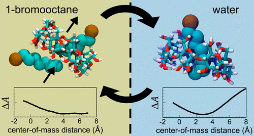 Liquid Inverse Rata Structure and Dynamics of Host/Guest Complexation at the Liquid/Liquid ...