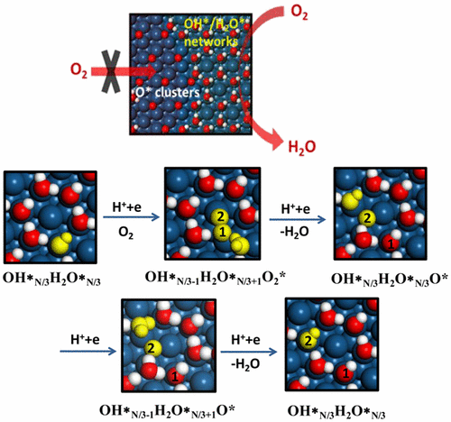 Pt O2 Active Electrocatalytic O2 Reduction on Pt: Multiple Roles of Oxygenated ...