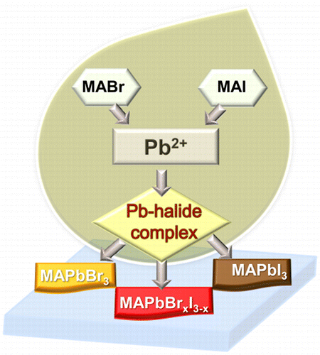 How Lead Halide Complex Chemistry Dictates the Composition of Mixed ...