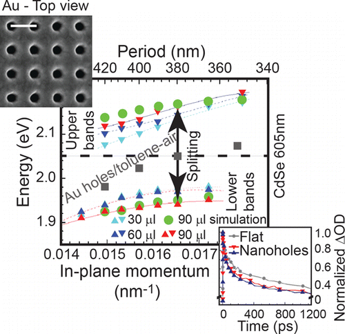 Dynamics of Strong Coupling between CdSe Quantum Dots and Surface ...