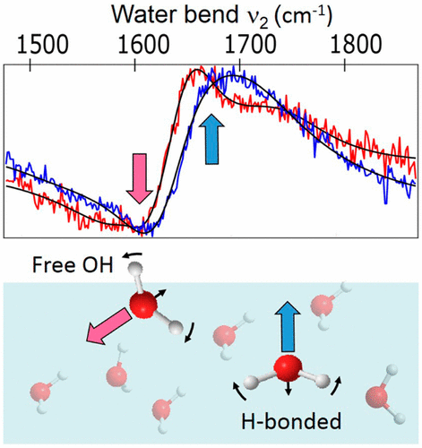 On the Assignment of the Vibrational Spectrum of the Water Bend at the ...