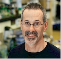 Walt, David R. - Tufts University - Department of Chemistry