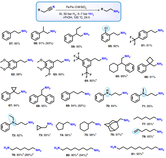 Nat. Catal.：腈催化氢化成胺，一定要试试Fe/FeOSiO2催化体系 XMOL资讯