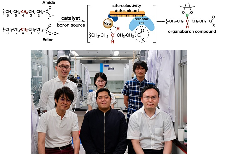 无法重复，Science碳氢键活化论文被撤稿- X-MOL资讯