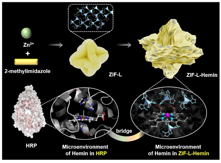 北京化工大学杨屹团队anal Chem ：mof框架取代蛋白质骨架重塑天然酶活性位点 X Mol资讯