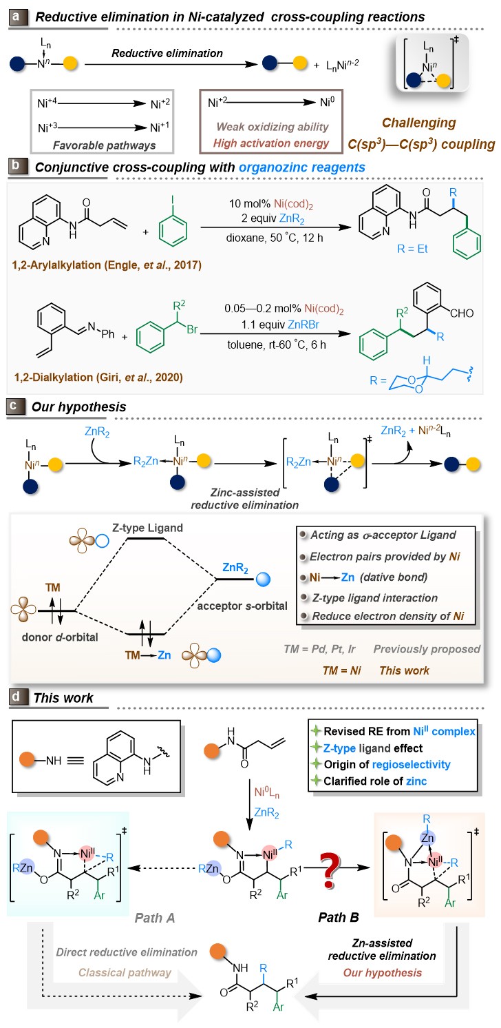 JACS：蓝宇团队通过理论计算揭示Z-型金属配体协助的二价镍还原消除“锌 