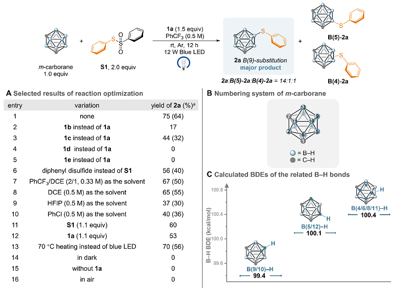 南京大学燕红课题组JACS：氢原子转移（HAT）反应实现无金属条件下碳硼烷B－H键选择性官能化- X-MOL资讯