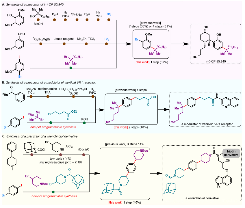 北生所李超课题组Angew：化学选择性构建C(sp2)–C(sp3)键的新方法- X-MOL资讯