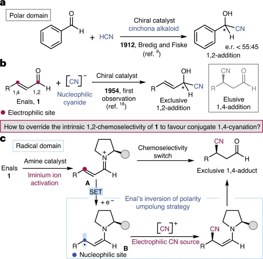 Nat. Catal.：光氧化还原和有机催化实现不饱和醛的立体选择性氰基化 XMOL资讯