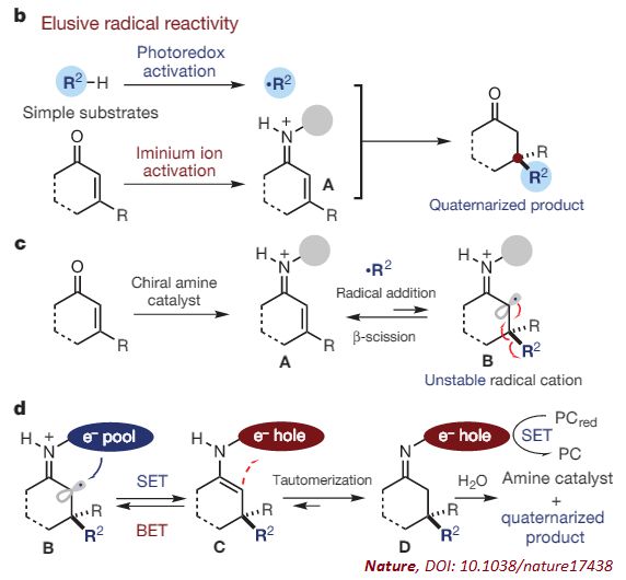 手性中心的 自由 之路 Nature 报道合成季碳手性中心的自由基路线 X Mol资讯