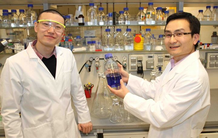 用于捕获弱蛋白-蛋白相互作用的一锅多联蛋