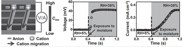 湿气响应性氧化石墨烯纳米带用于信息存储