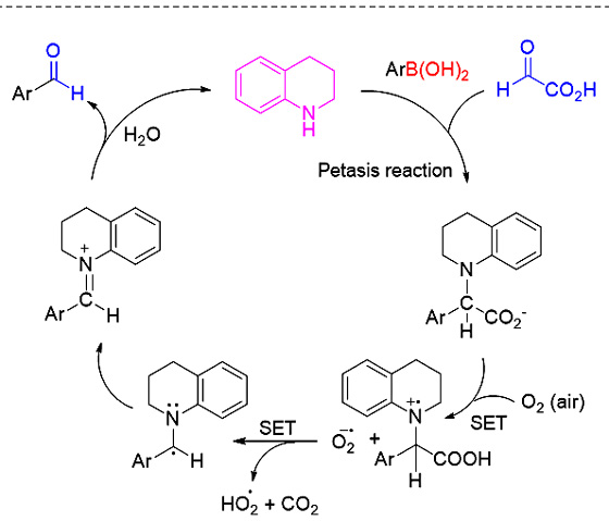 二级胺催化的芳基及乙烯基硼酸的甲酰化反应