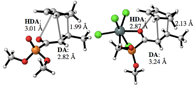 JACS:过渡结构键长预测分叉周环反应选择性
