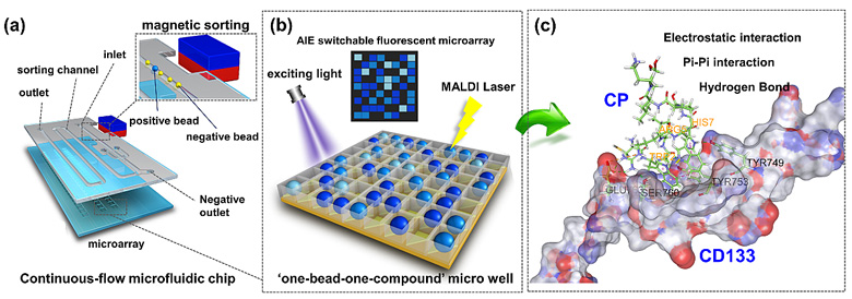 小分子多肽探针实现可快速代谢的肿瘤靶向分子诊断 X Mol资讯