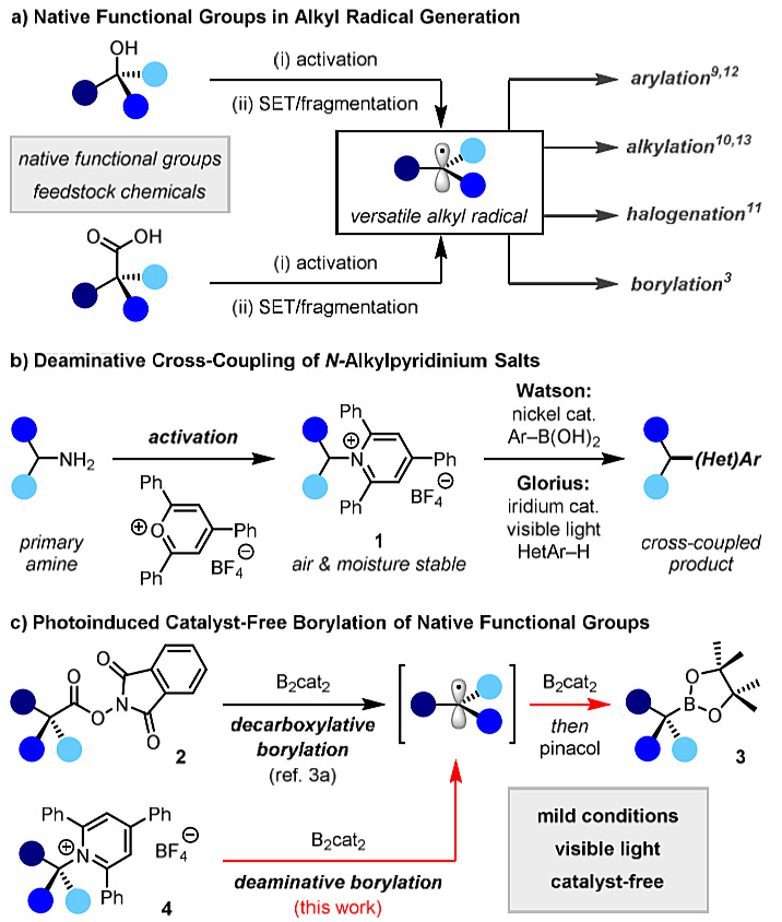 光诱导烷基胺的脱氨硼化反应- X-MOL资讯