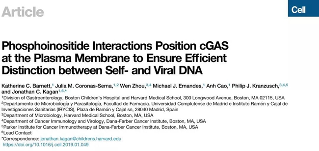 首次发现dna感受器cgas定位在细胞质膜上 X Mol资讯