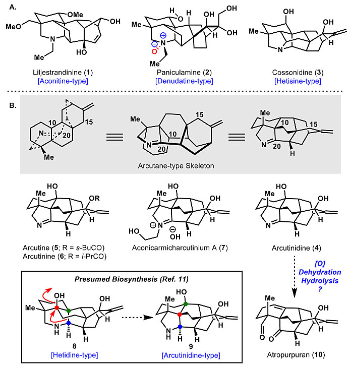 Jacs 化学网络结构分析启发下的二萜生物碱arcutinidine的全合成 X Mol资讯