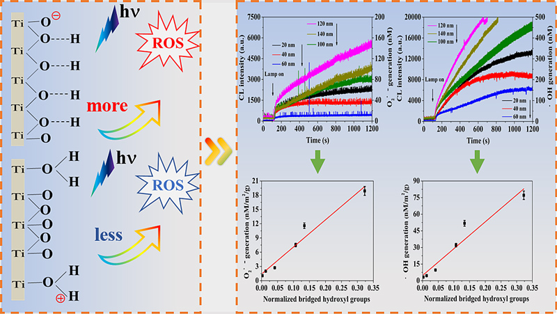 表面桥羟基调控tio2光催化体系中活性氧自由基的产生 污染物去除新思路 X Mol资讯