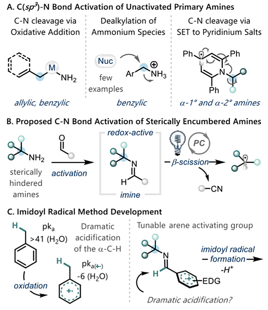 Jacs 光氧化还原催化的伯胺脱氨烷基化反应 X Mol资讯