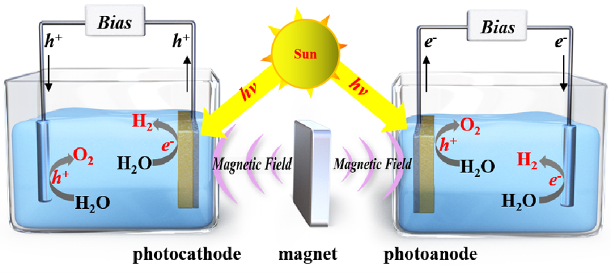 更高效的光电分解水方法 磁场辅助光电化学分解水 X Mol资讯