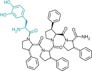 《jacs》:攜帶藥物進入大腦的分子