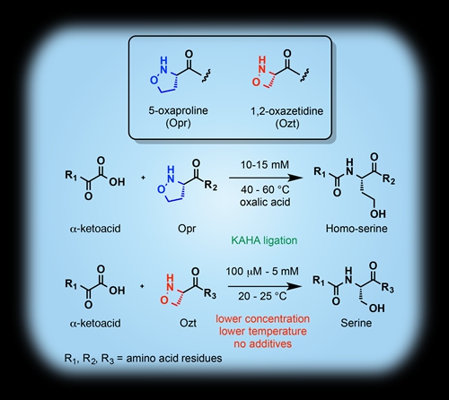 nature-chemistry-x-mol