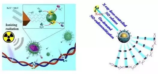 分别利用肿瘤微环境中的水分子和原位控释的no分子,实现了基于乏氧