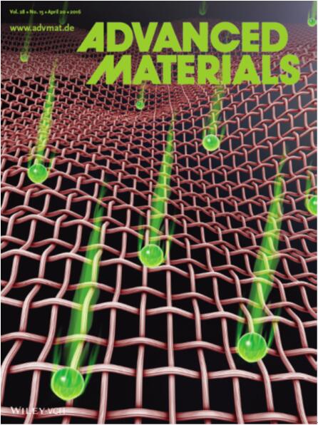 锂离子输运调控抑制金属锂枝晶生长