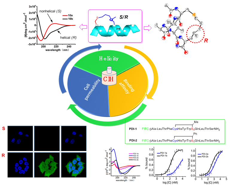 201602806/abstract an in-tether chiral center modulates the