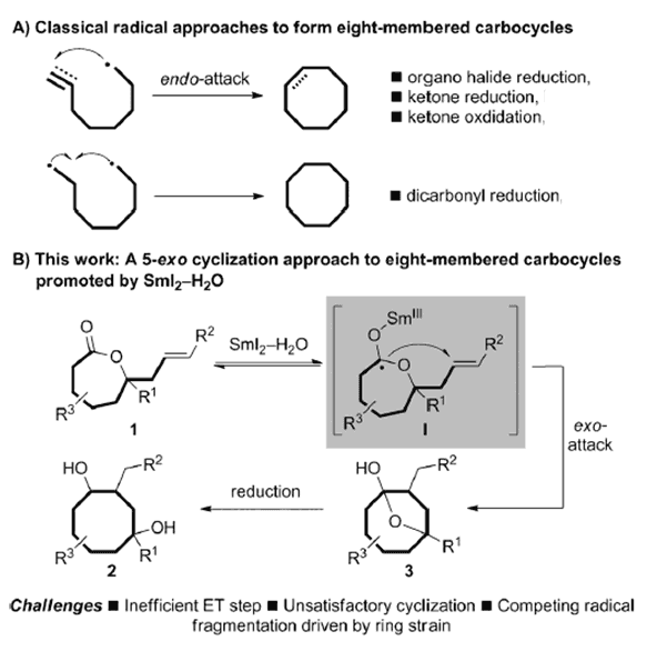 5exo环化七元环内酯的自由基环化