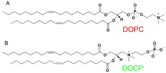 (phosphatidylcholine,pc)Ȼ粢ڵĵ֬(choline