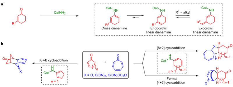 的二烯-胺(dienamine)和环庚三烯酮及其衍生物的立体选择性的[8 2[6